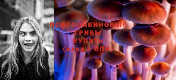 гидра Алексин