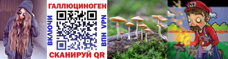 Псилоцибиновые грибы Cubensis  Бирск 