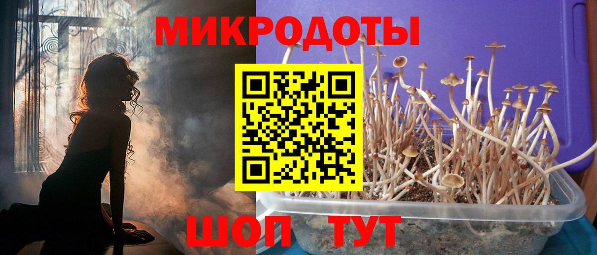 Бирск  Галлюциногенные грибы прущие грибы  Вход с VPN 