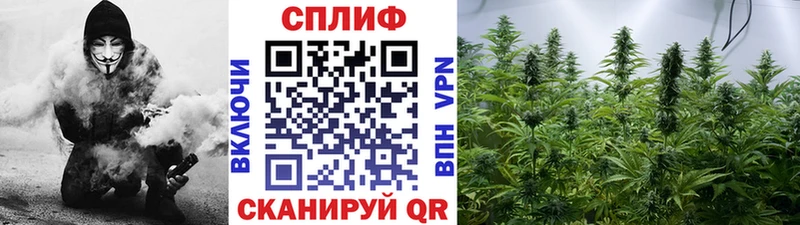 купить   Бирск  блэк спрут ссылка  МАРИХУАНА план 